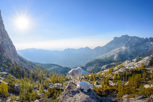 aluminium-print-enchantment-prusik-pass-panorama-x