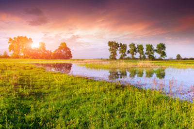 poster-print-sunset-on-lake