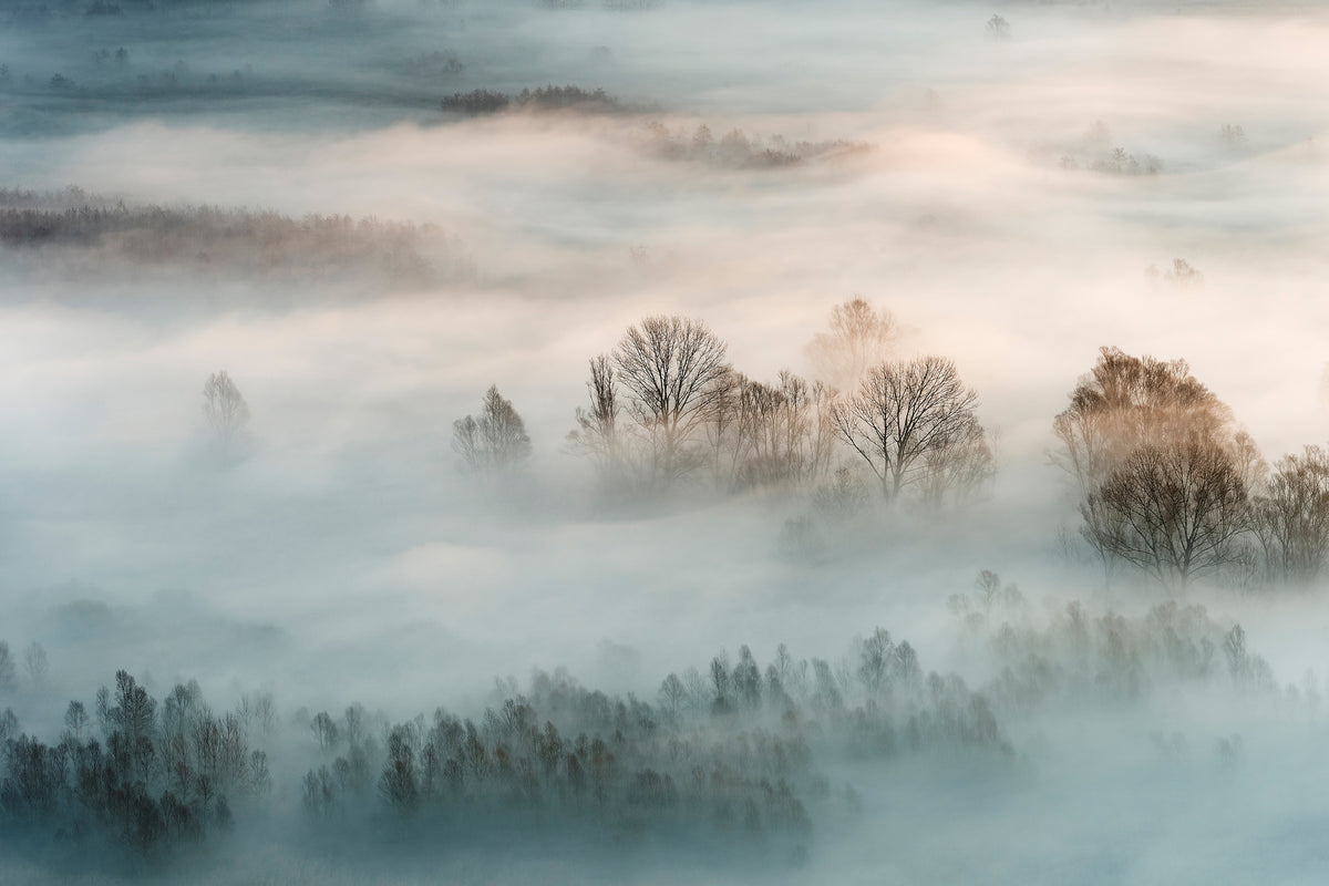 framedcanvas-print-winter-fog