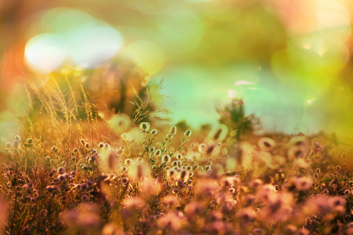 3-piece-acrylic-print-flower-meadow-at-twilight