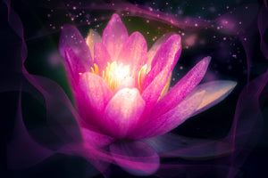 acrylic-print-lily-in-the-light-play