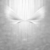 9-piece-aluminium-print-angel-wings