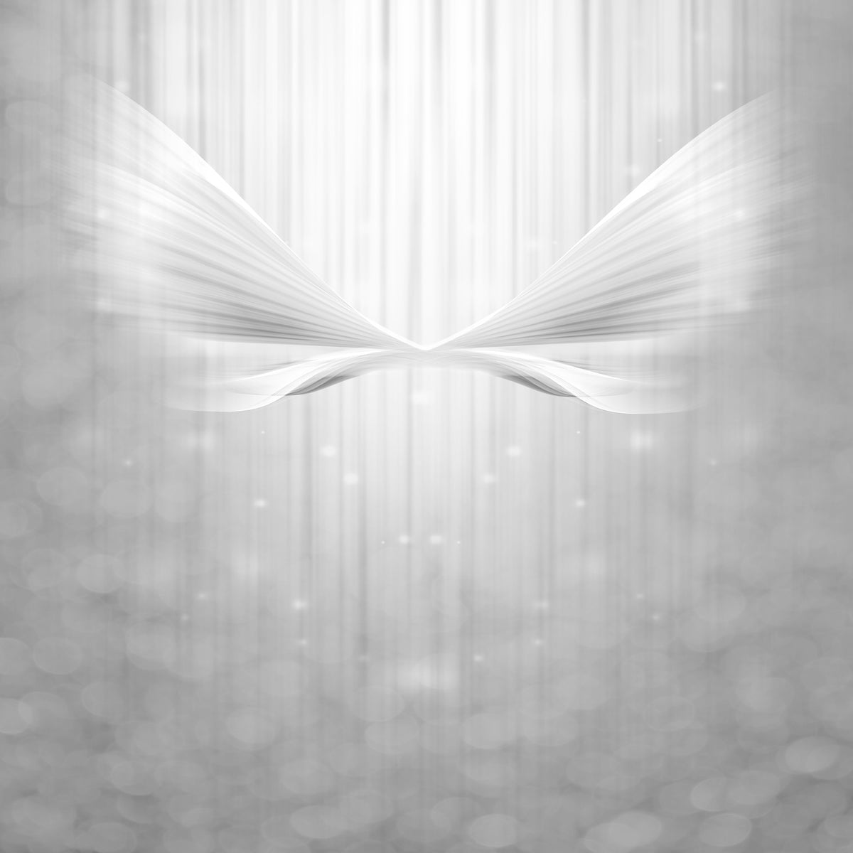9-piece-aluminium-print-angel-wings