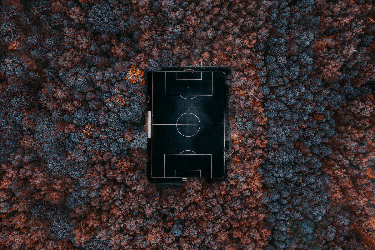 canvas-print-playing-in-the-forest-x
