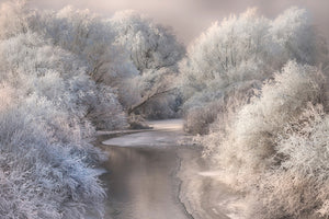 poster-print-winter-song-x