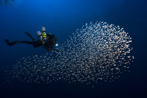 3-piece-acrylic-print-alvin-shoal