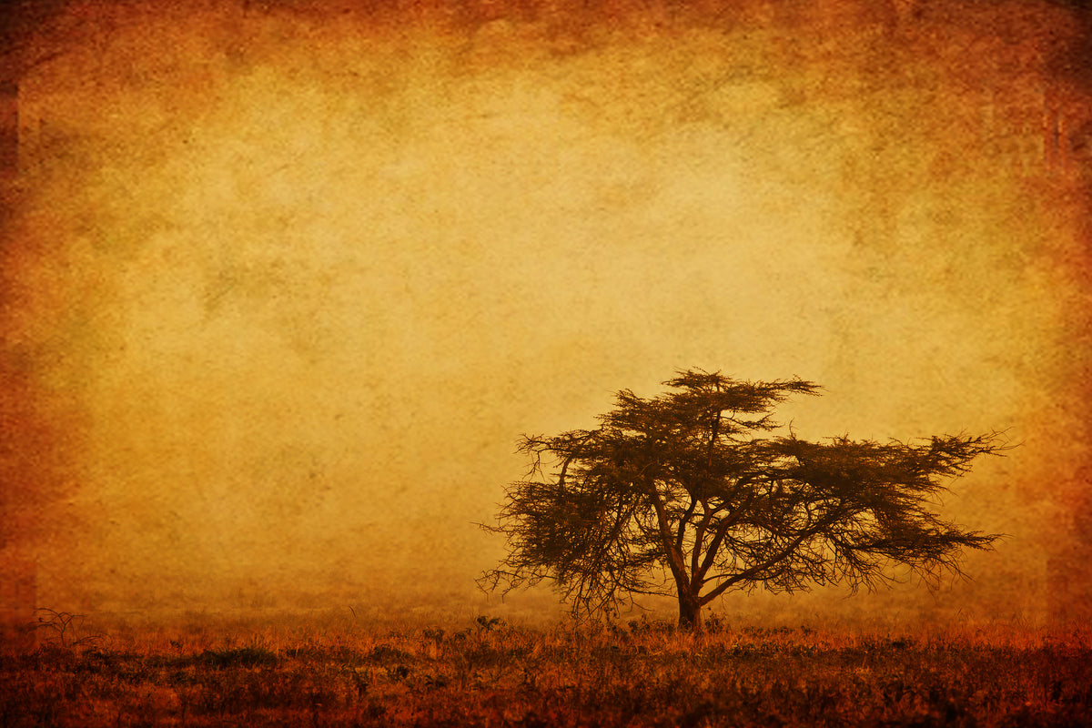 acrylic-print-sunset-mood