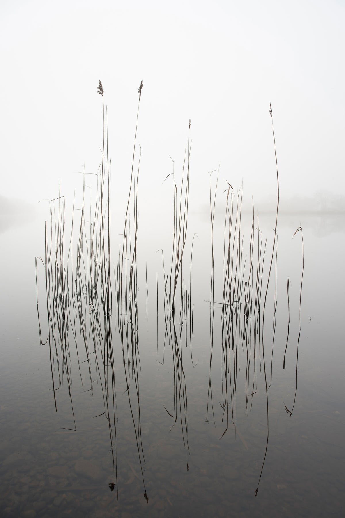 framedposter-print-silence