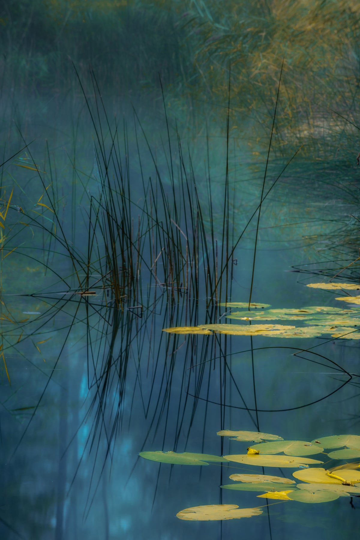 canvas-print-aqua