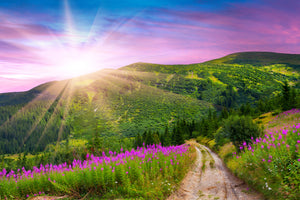 modern-3-piece-acrylic-print-a-summer-landscape-at-sunrise