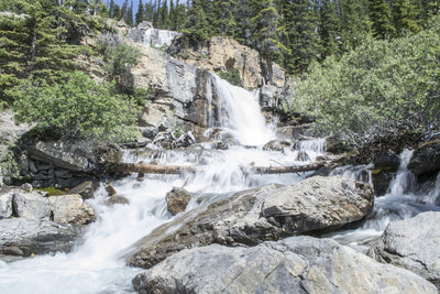 poster-print-wild-waterfall-in-the-forest