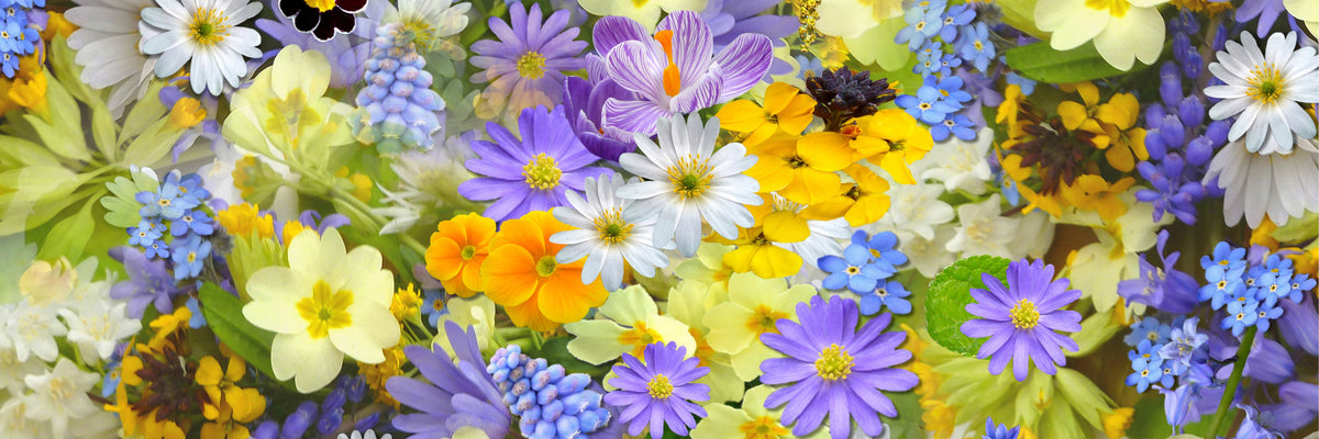 panoramic-poster-print-fresh-spring-flowers-panorama