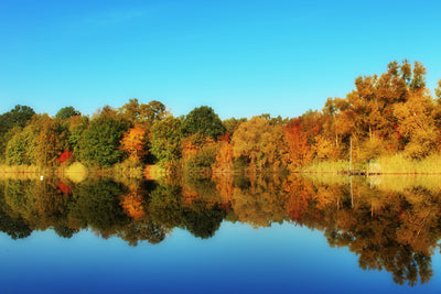 poster-print-autumn-reflections