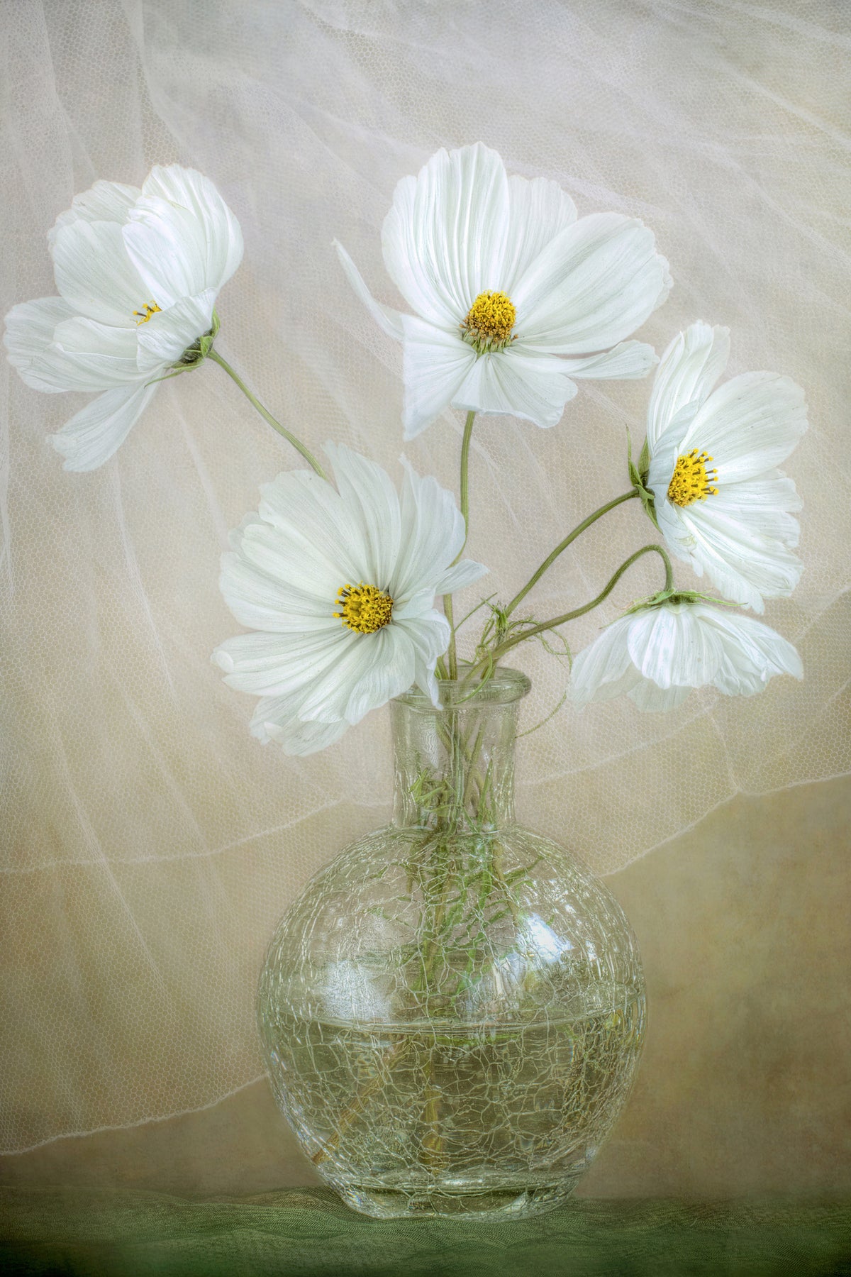 acrylic-print-cosmos-breeze