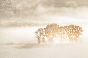 3-piece-aluminium-print-autumn-dreams