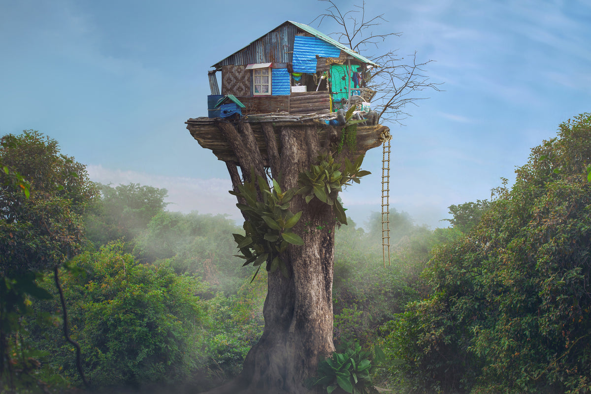 framedcanvas-print-house-in-the-sky