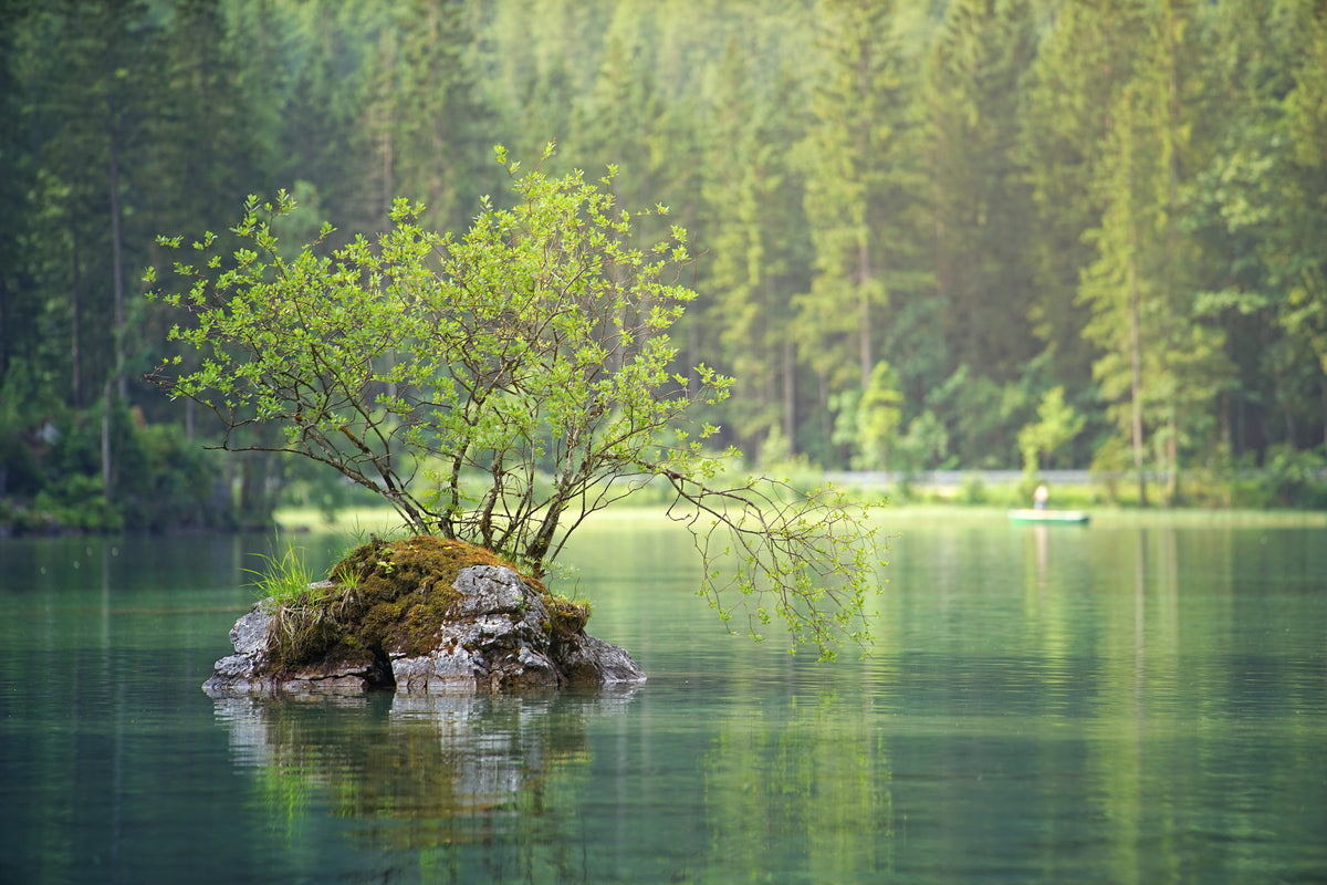 3-piece-acrylic-print-the-pond-in-the-forest