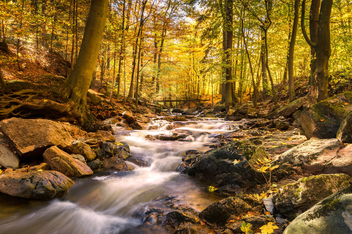 framedposter-print-real-nature-beauty