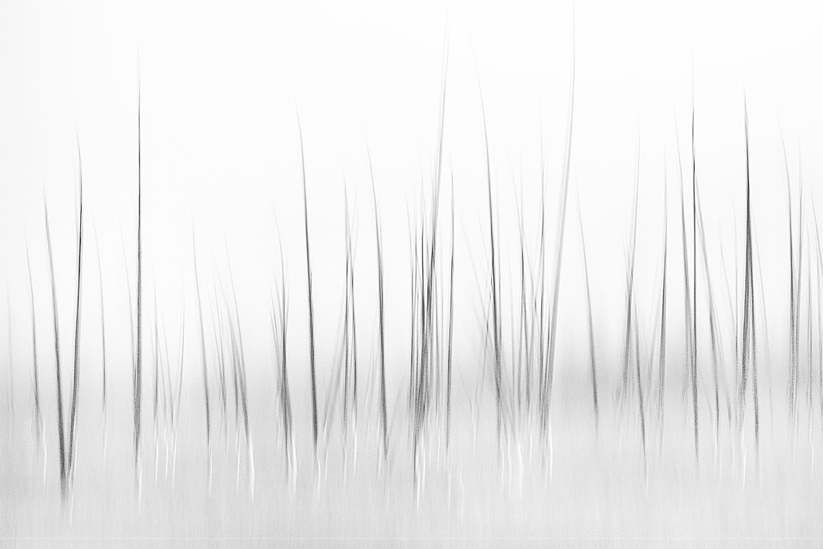 canvas-print-wintry-scenery-in-yellowstone