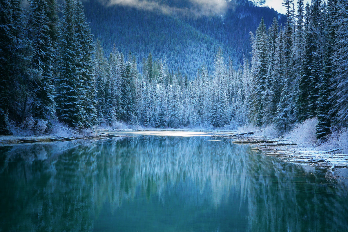 aluminium-print-wonder-winter-land-x