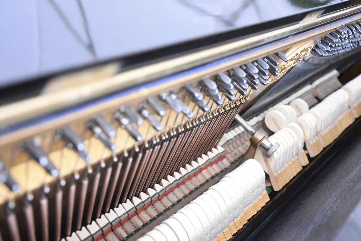 3-piece-aluminium-print-piano-action
