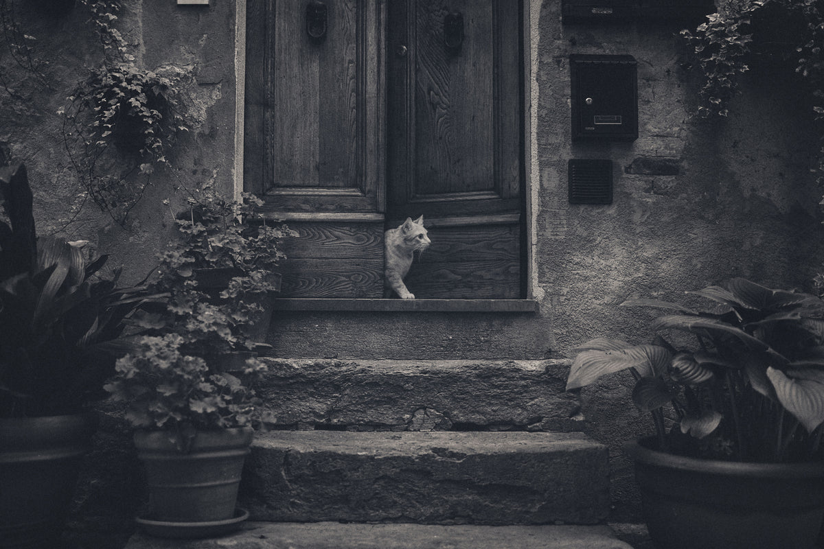 poster-print-awaiting-guests-x