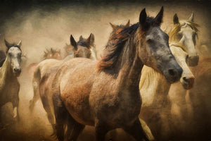 framedcanvas-print-painting-wild-horses