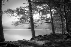 canvas-print-loch-an-eilein