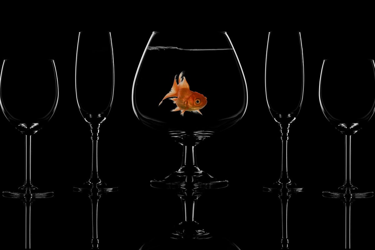 modern-3-piece-aluminium-print-glass-fish