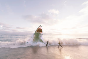 3-piece-aluminium-print-beware-shark