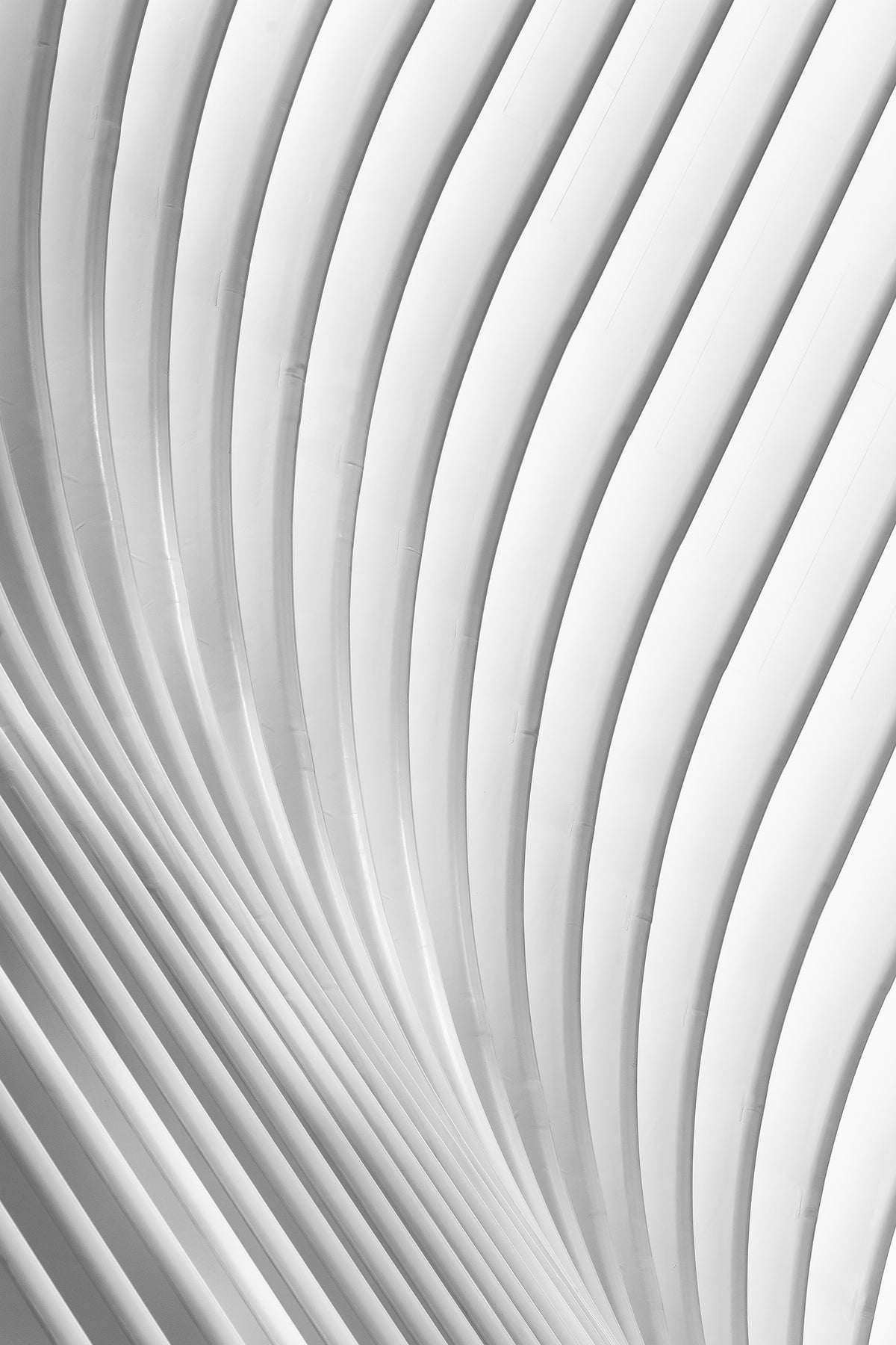 framedcanvas-print-calatrava-lines-x