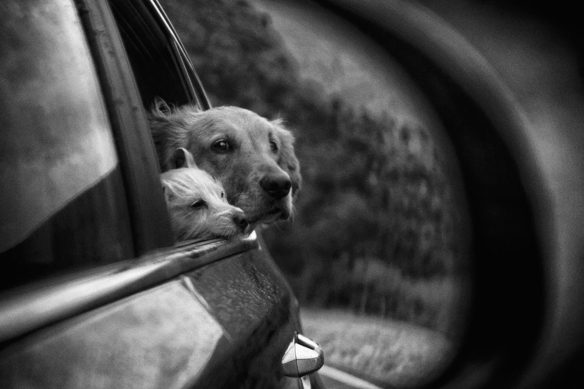 aluminium-print-roadtrip-x