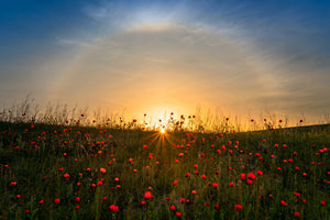 3-piece-aluminium-print-red-poppies-and-sunrise