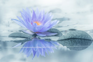 canvas-print-reflection-xus