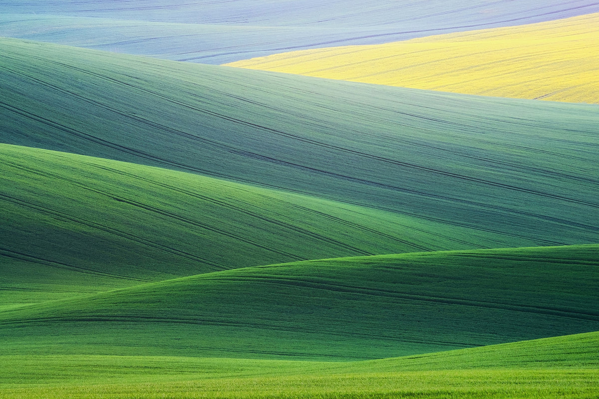 acrylic-print-lines