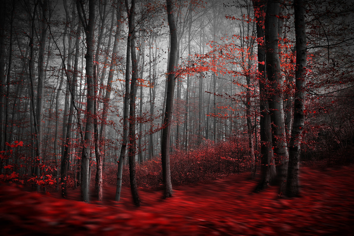 framedposter-print-bloody-river-x