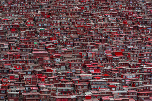 poster-print-red-houses