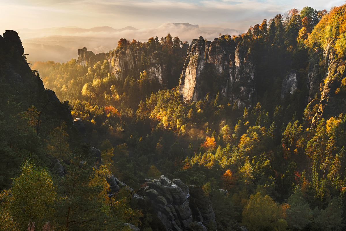 modern-3-piece-canvas-print-forest-whispers