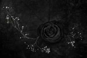 framedposter-print-rose-noire