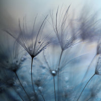 9-piece-canvas-print-teardrops