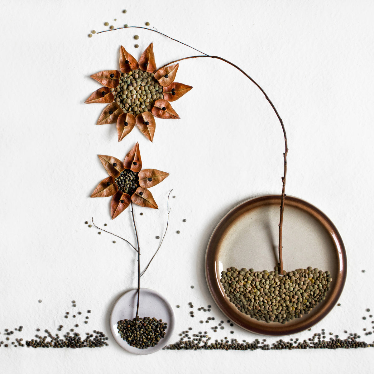 poster-print-herbarium