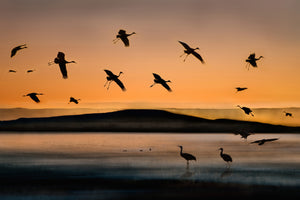 3-piece-canvas-print-fly-in-at-sunset