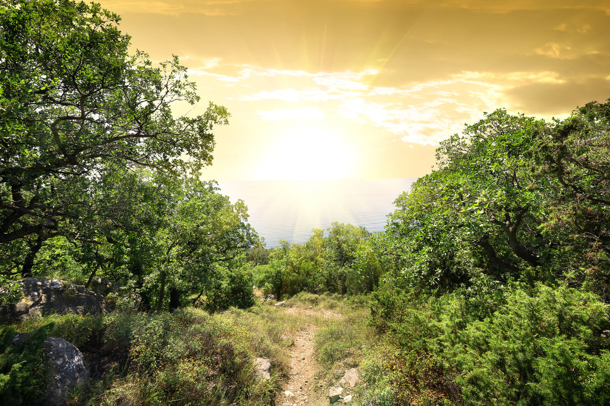 modern-3-piece-canvas-print-at-the-end-of-the-forest