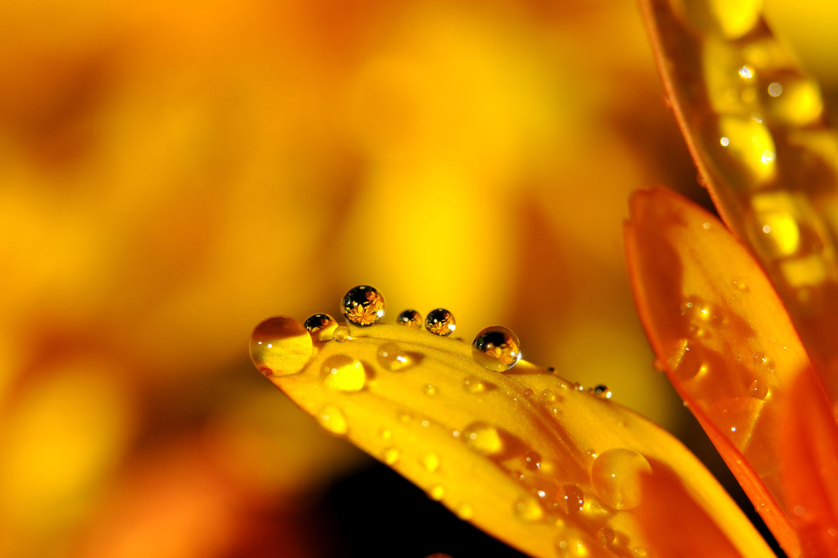 modern-3-piece-canvas-print-drops-close-up