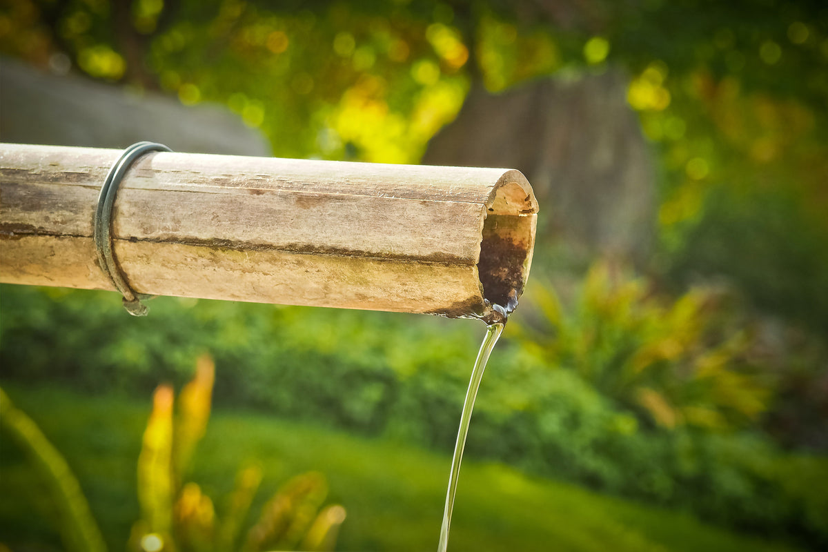 framedcanvas-print-the-bamboo-pipe