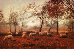 3-piece-acrylic-print-last-days-of-autumn