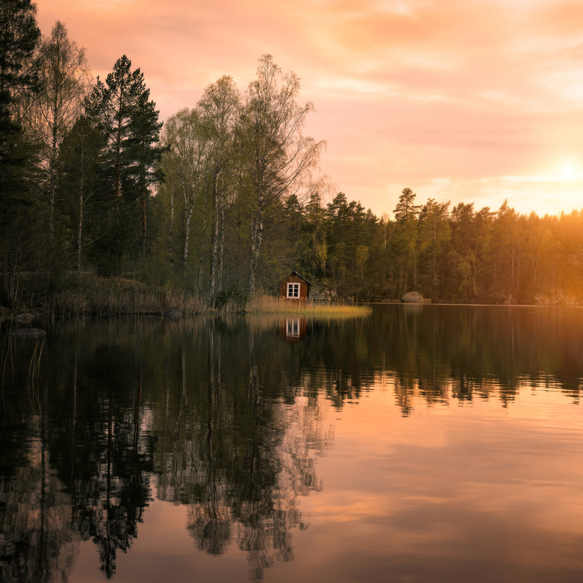 aluminium-print-the-little-red-house