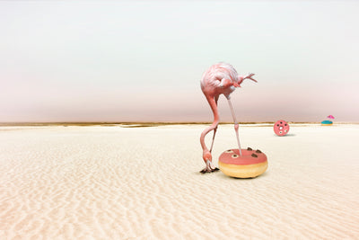 poster-print-donutbeach-x