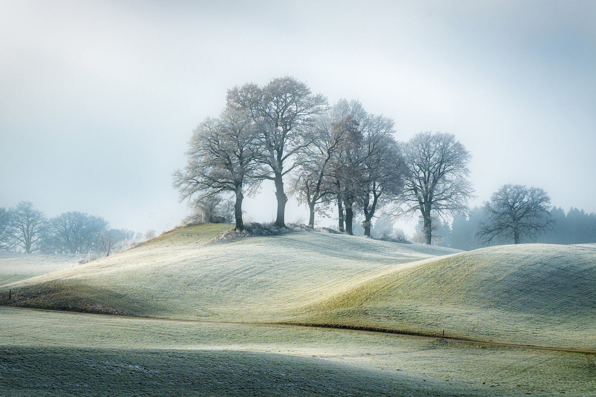 aluminium-print-it-is-not-in-tuscany-x