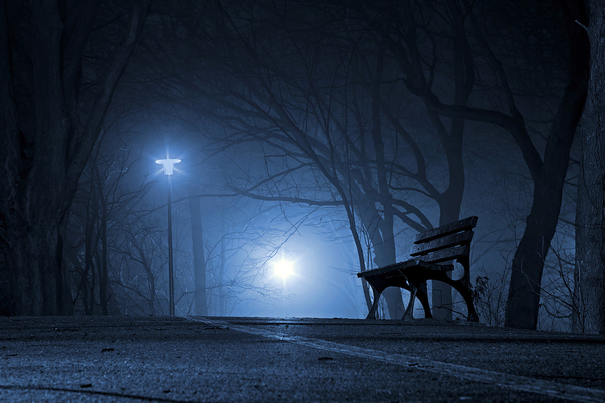 3-piece-aluminium-print-at-night-in-the-park